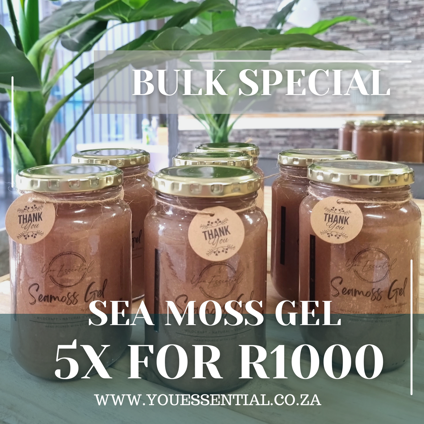 Bulk Special (5x Sea Moss Gel)